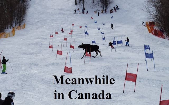 Тем временем в Канаде, meanwhale in Canada