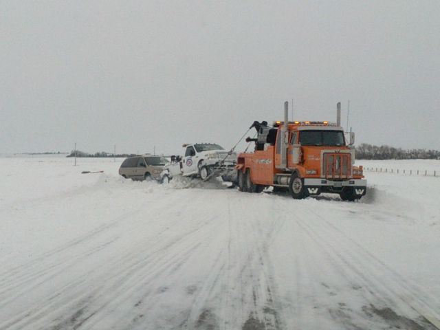 Тем временем в Канаде, meanwhale in Canada