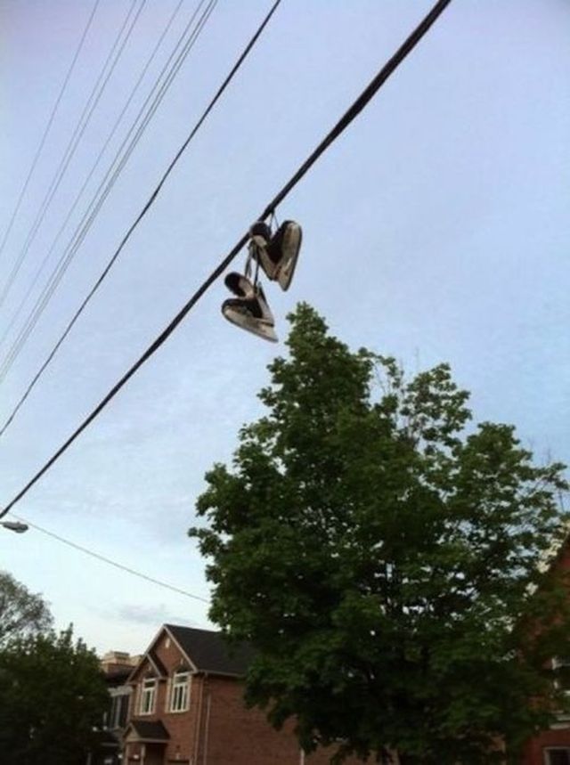 Тем временем в Канаде, meanwhale in Canada