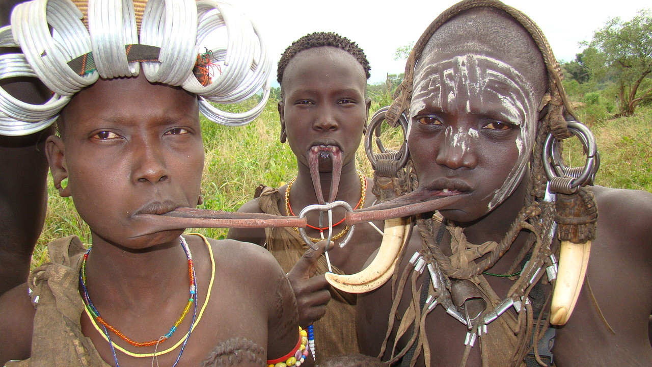 Альманах познавательных фактов обо всём на свете. Часть 2 Альманах, познавательное, факты, спорим, вы не знали