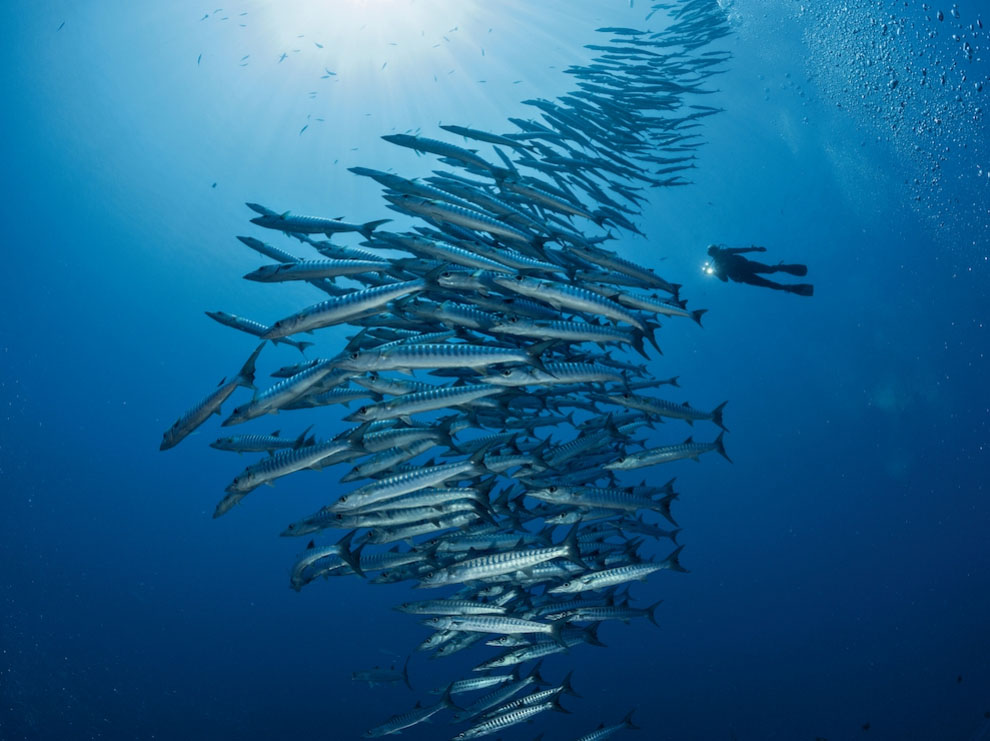 фотографии, National Geographic, за февраль 2014