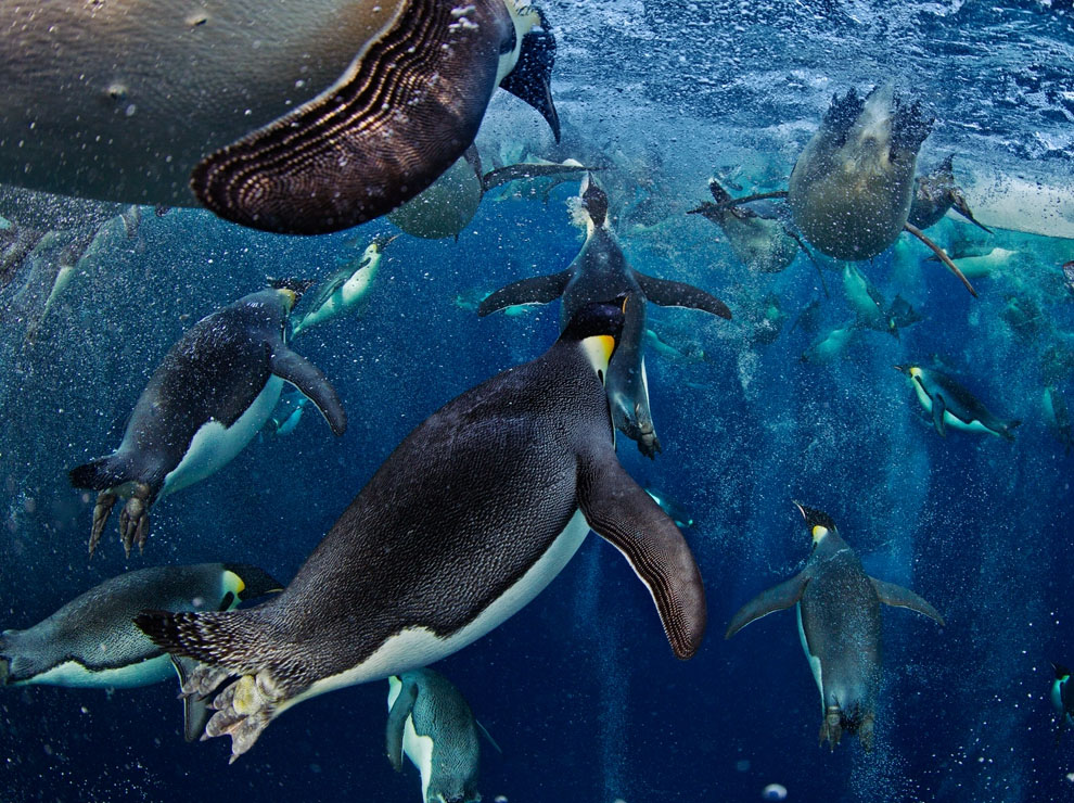 фотографии, National Geographic, за февраль 2014