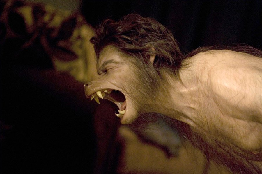 10 мистических историй, доказывающих, что оборотни действительно существовали истории об оборотнях, истории доказывающие что оборотни существуют