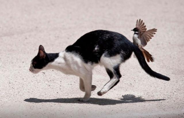 Позитив, юмор, смешные фотографии,прикол