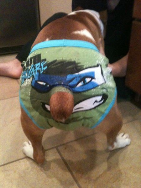 Позитив, юмор, смешные фотографии,прикол