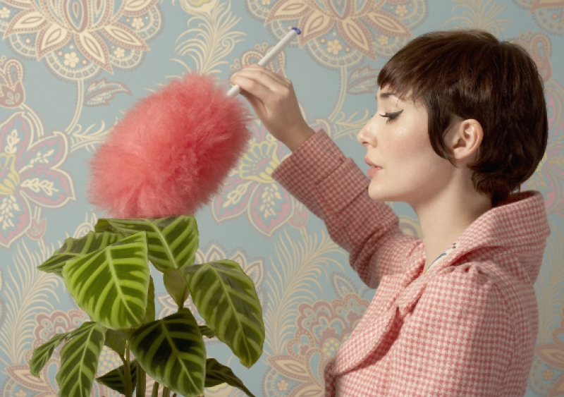 Альманах, познавательное, факты, спорим, вы не знали