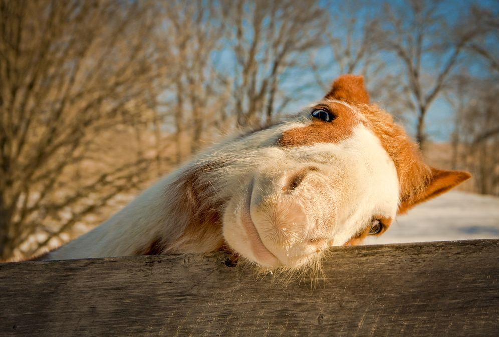 National Geographic март 2014, лучшие фотографии National Geographic