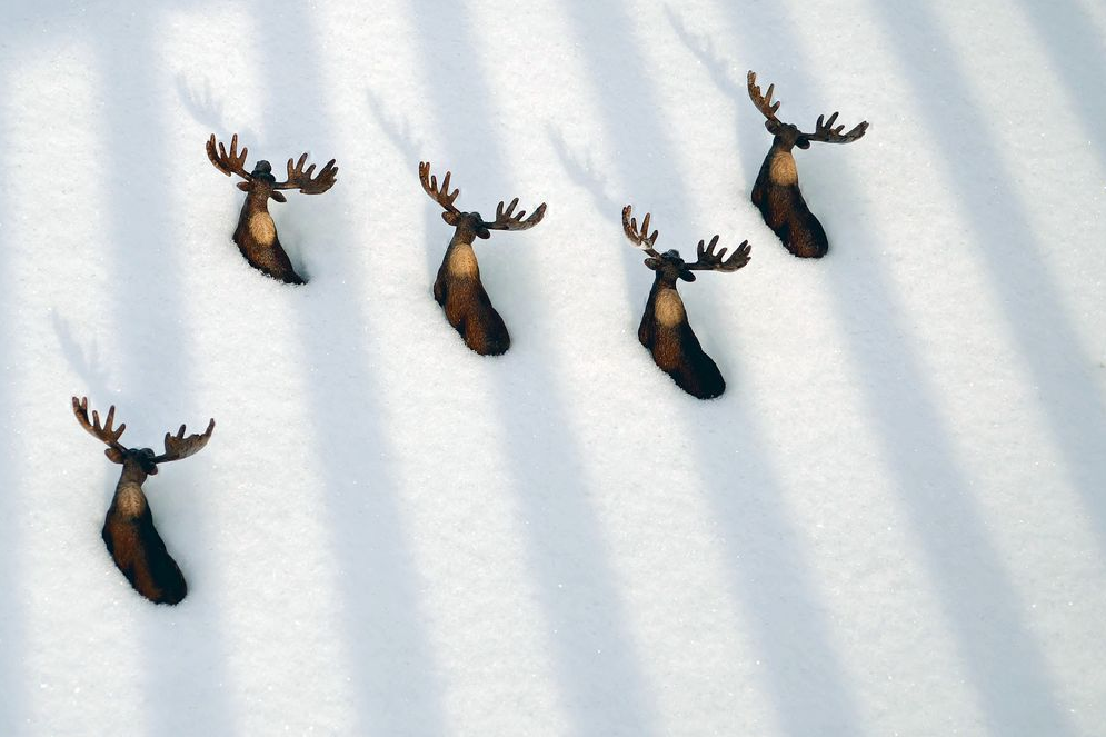 National Geographic март 2014, лучшие фотографии National Geographic