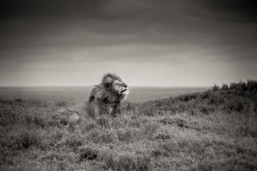 National Geographic март 2014, лучшие фотографии National Geographic