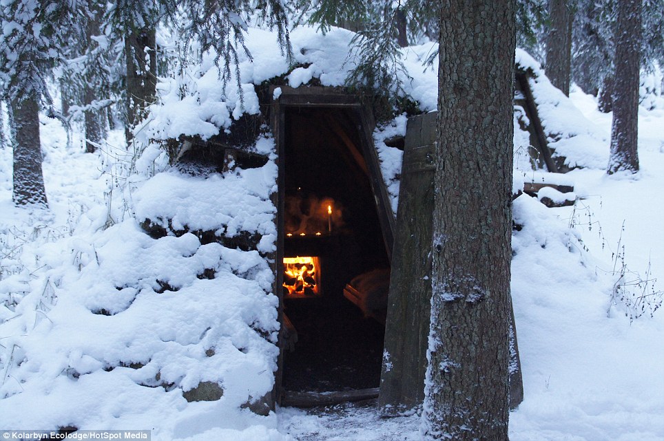 Отель Kolarbyn Eco-Lodge, отель в Скиннскаттеберге, отель посреди леса в Шведции, отдых в Шведции