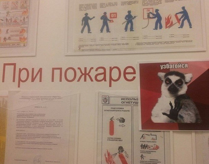 смешные надписи, объявления, маразмы