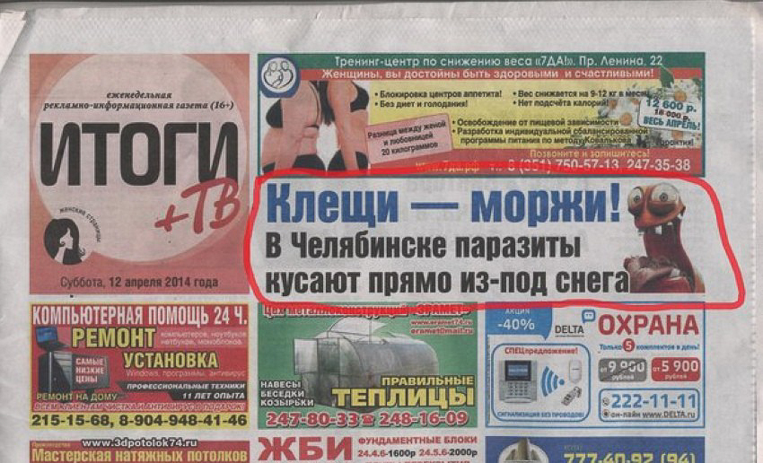 смешные надписи, объявления, маразмы