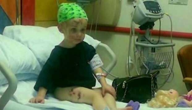 женщина откусила собаке ухо, питбуль напал на ребёнка, Chelsi Camp