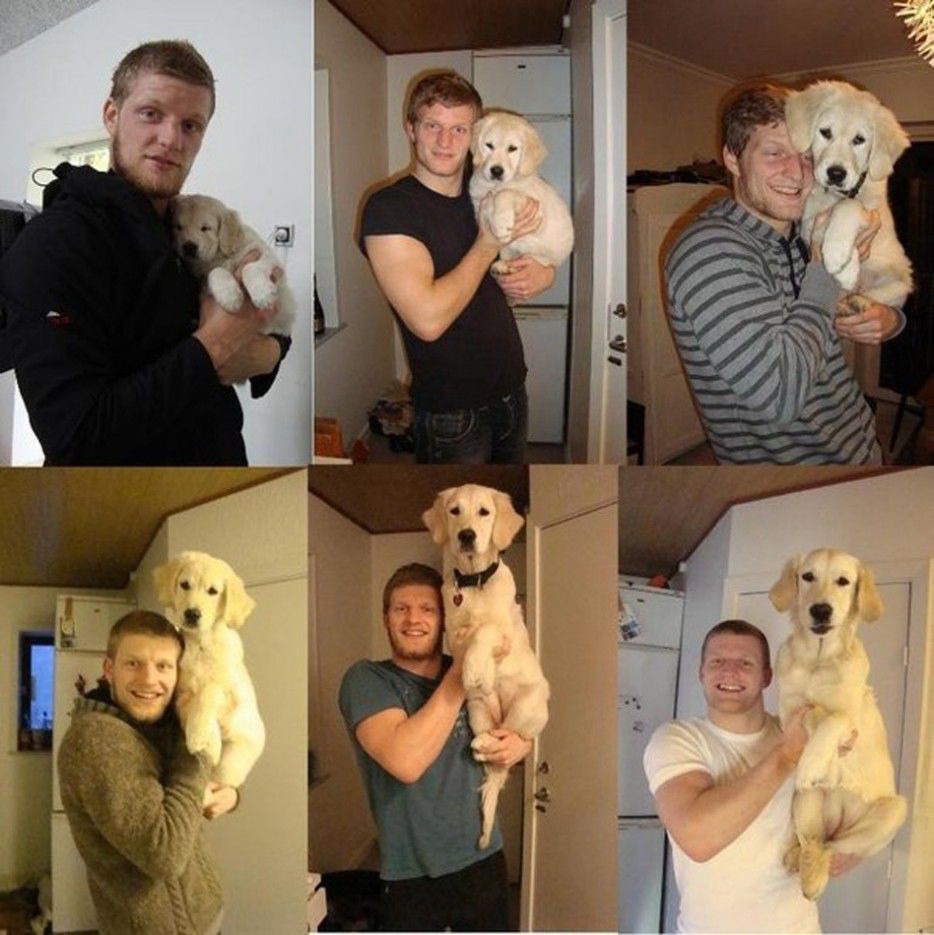 питомцы тогда сейчас, хозяева с животными тогда и сейчас, повзрослевшие питомцы, владельцы животные до и после