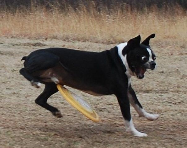 Фотографии сделанные в нужный момент XXI в нужный момент, за секунду до, удачный кадр