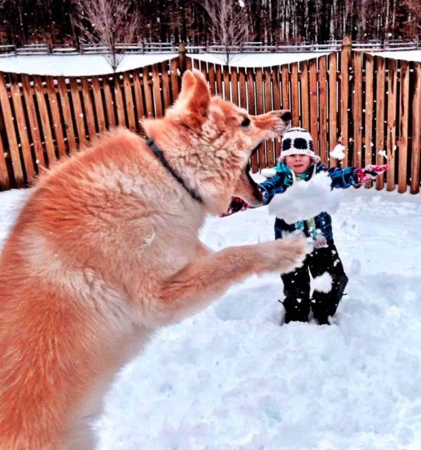 Фотографии сделанные в нужный момент XXI в нужный момент, за секунду до, удачный кадр