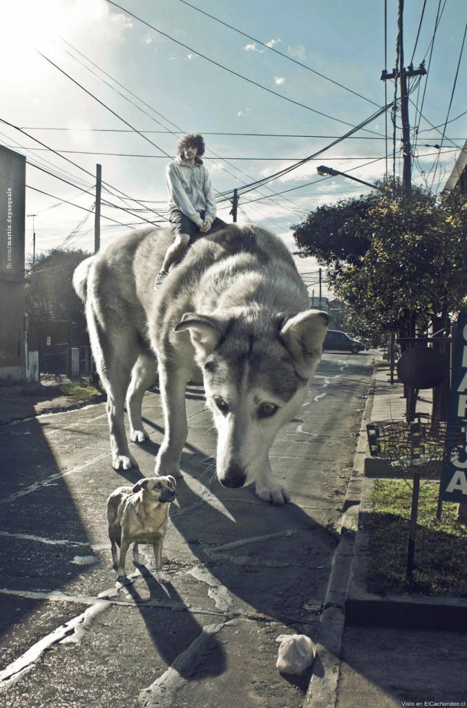 Мартин Де Паскуале Martín De Pasquale, гений фотошопа