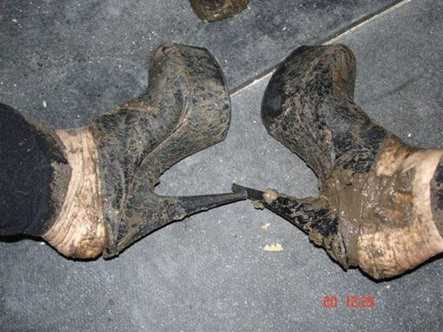 это россия детка, умом россию не понять, тем временем в России 