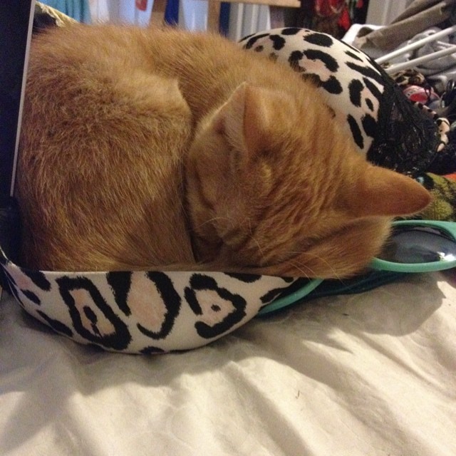 Проблемы, с которыми сталкиваются девушки с большой грудью