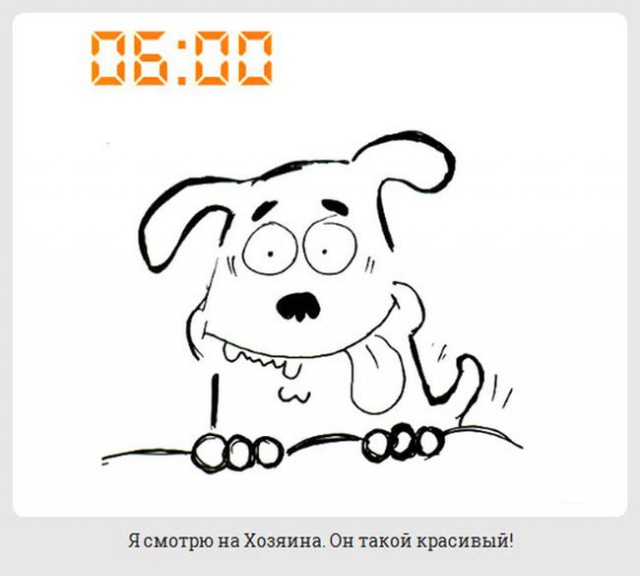 обычный день из жизни каждой собаки