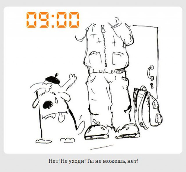 обычный день из жизни каждой собаки