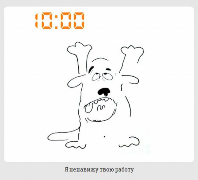 обычный день из жизни каждой собаки