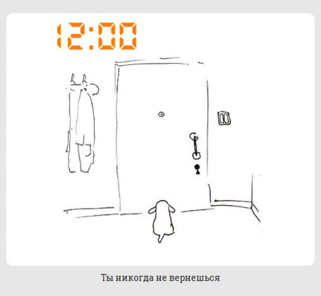 обычный день из жизни каждой собаки