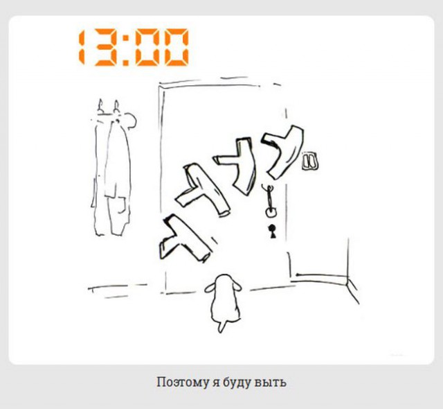 обычный день из жизни каждой собаки