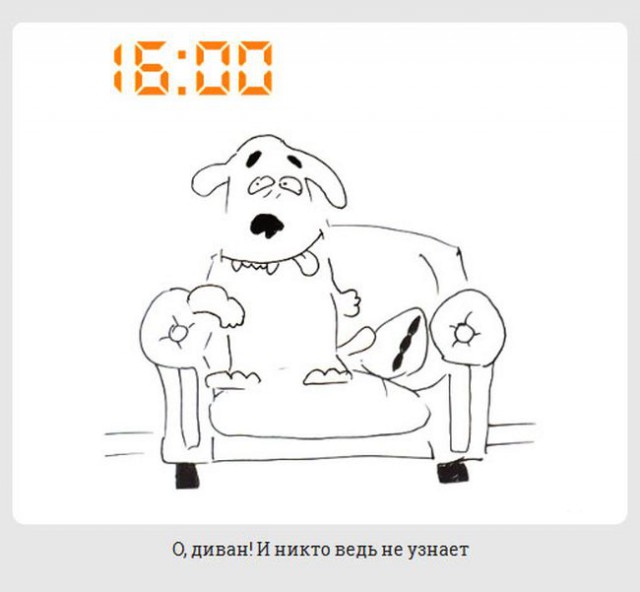 обычный день из жизни каждой собаки