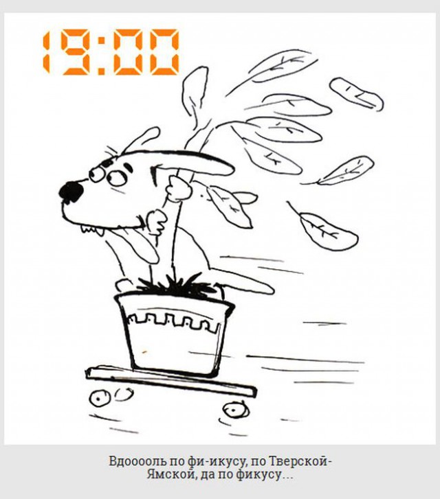 обычный день из жизни каждой собаки