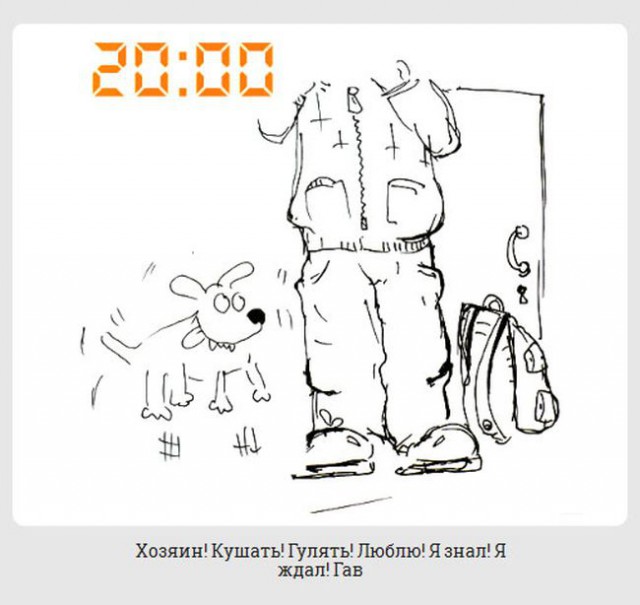 обычный день из жизни каждой собаки