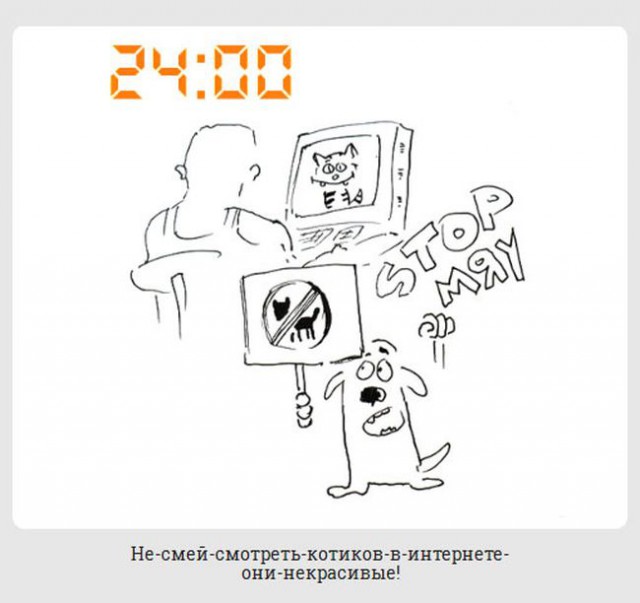 обычный день из жизни каждой собаки