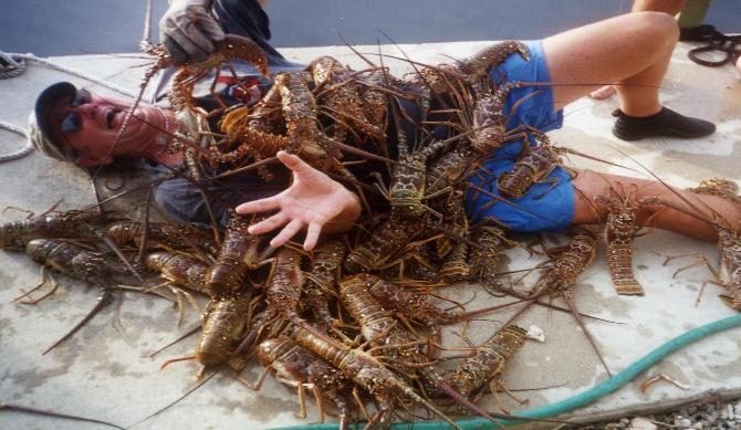 факты о еде, факты о продуктах