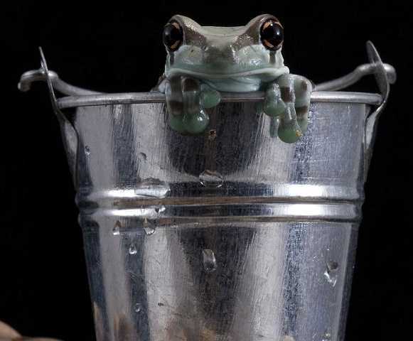 факты о еде, факты о продуктах