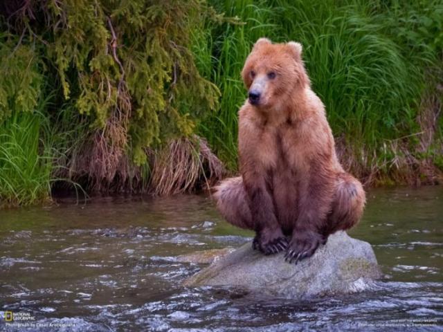 Позитив, юмор, смешные фотографии,прикол