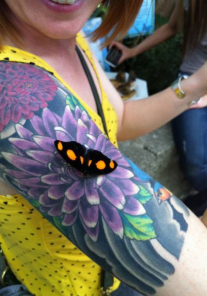 Позитив, юмор, смешные фотографии,прикол