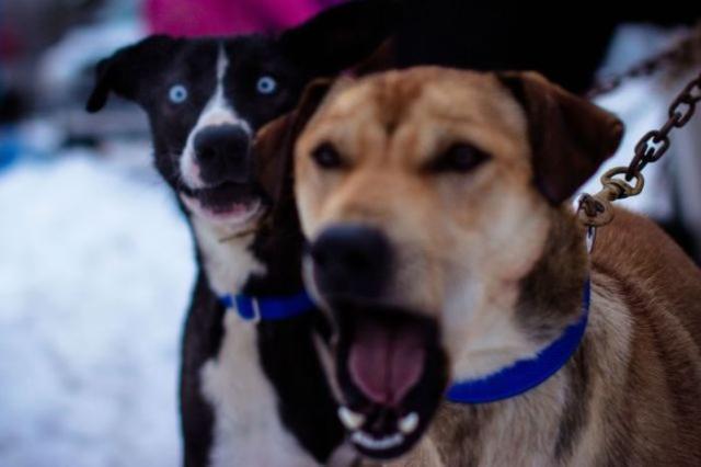 Позитив, юмор, смешные фотографии,прикол