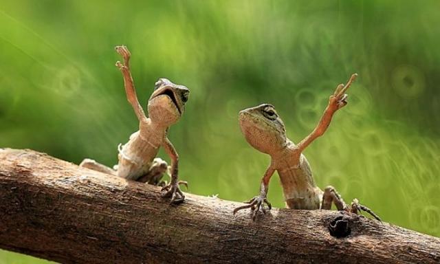 Позитив, юмор, смешные фотографии,прикол