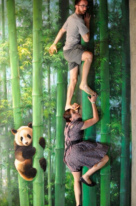 3D? обман зрения, музей, Сеул,Trick Eye Museum)