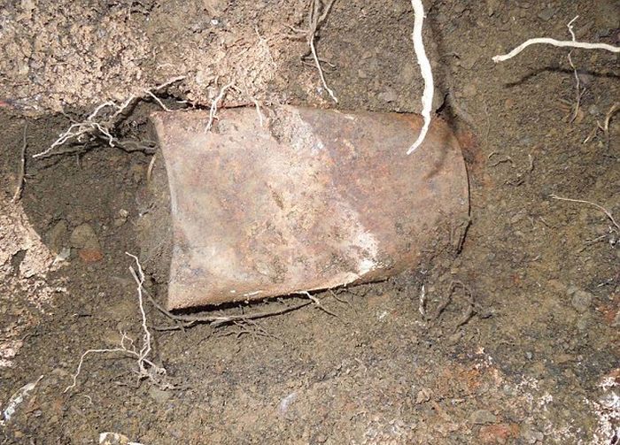 Супруги, нашли, ржавые банки, золотые монеты, 10 миллионов долларов, 10000000