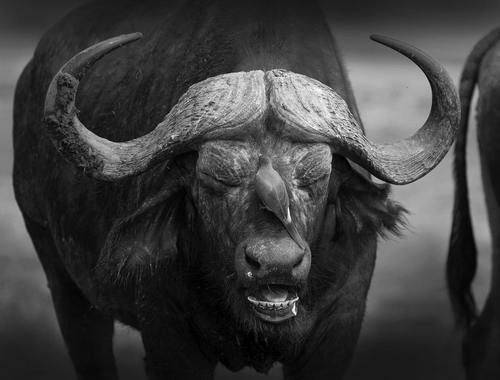 National Geographic за апрель 2014