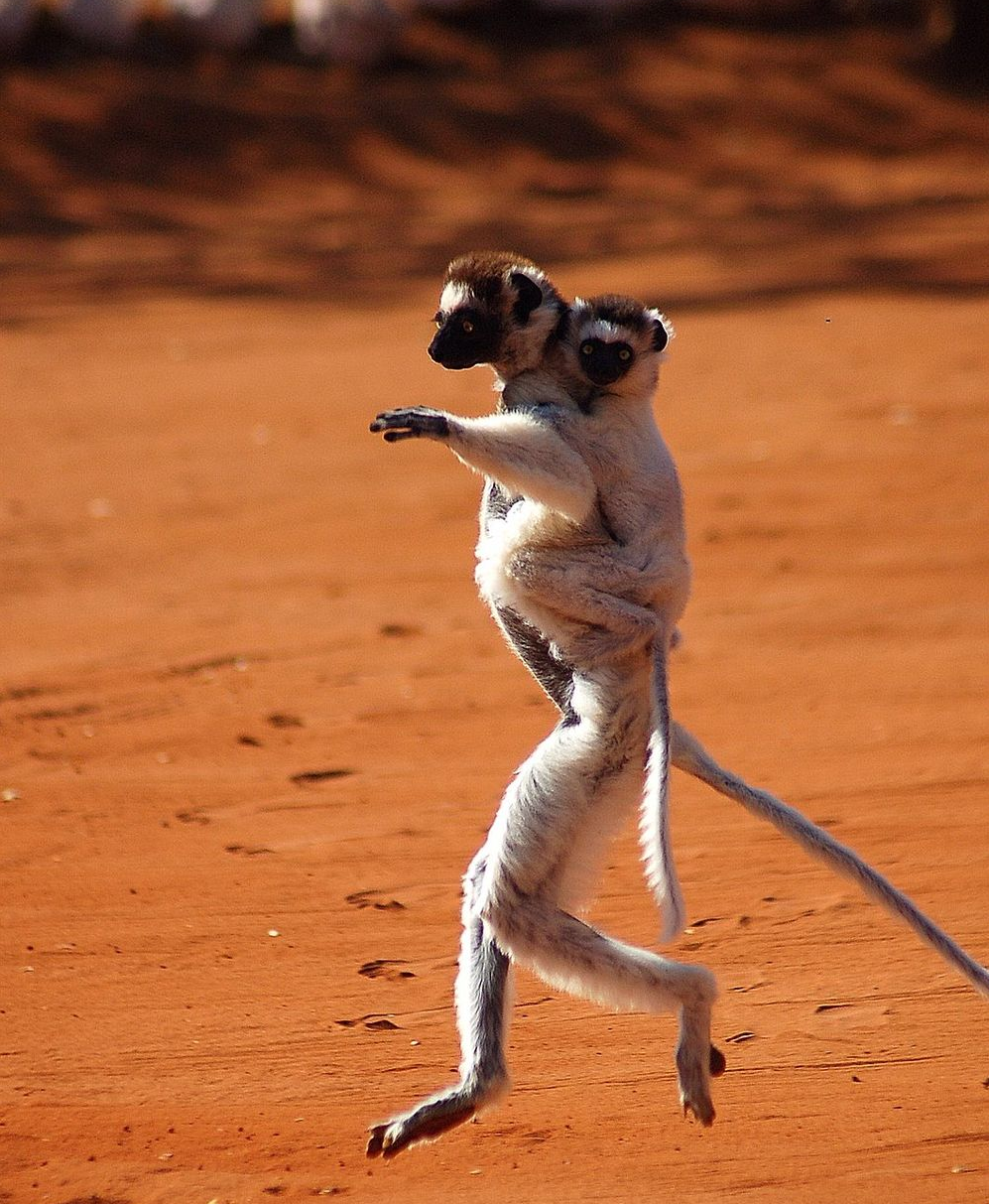 National Geographic за апрель 2014