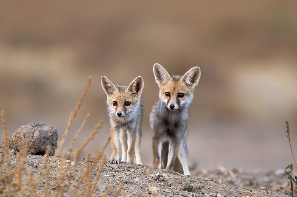 National Geographic за апрель 2014