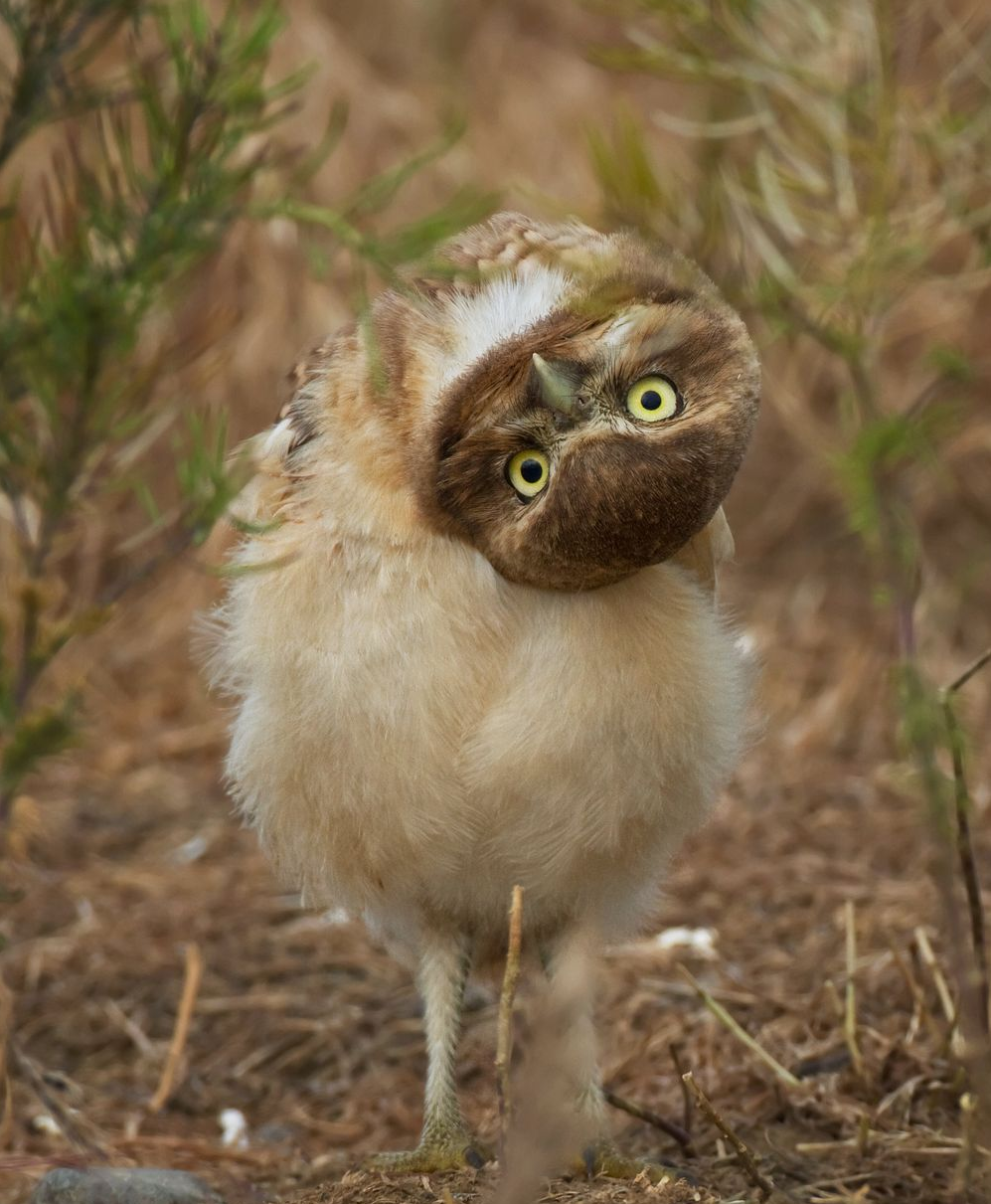 National Geographic за апрель 2014