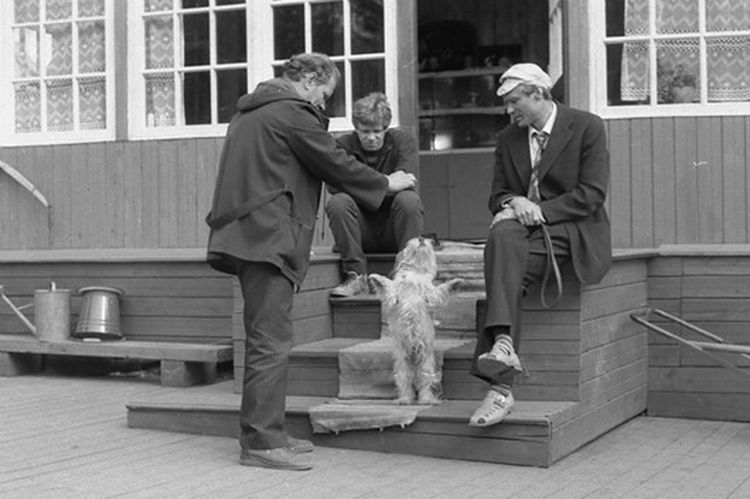 Любовь и голуби, факты о любовь и голуби, архивные редкие кадры любовь и голуби 