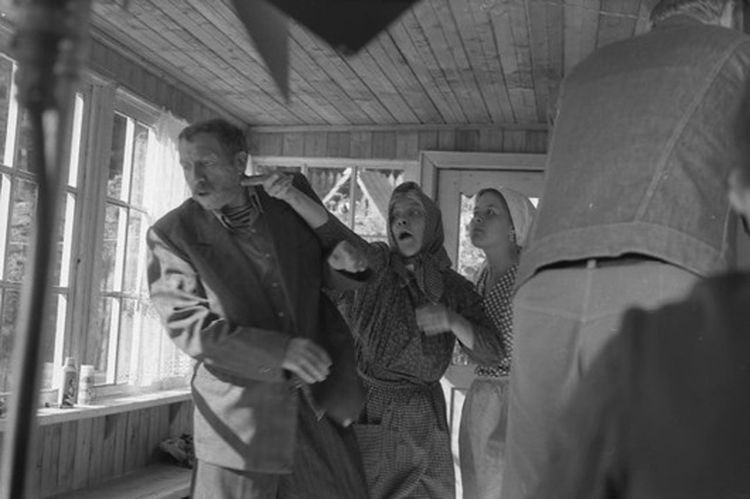 Любовь и голуби, факты о любовь и голуби, архивные редкие кадры любовь и голуби 