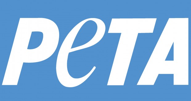 нелепые иски, абсурдные судебные иски, необычные иски суд