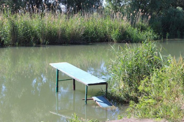 Российские дачники своими руками превратили поросший берег реки в пляж пляж своими руками, превратили берег реки в пляж