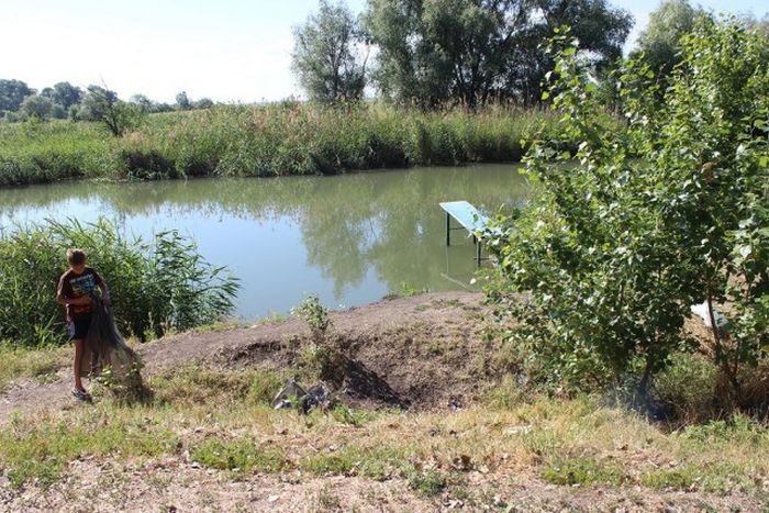 Российские дачники своими руками превратили поросший берег реки в пляж пляж своими руками, превратили берег реки в пляж