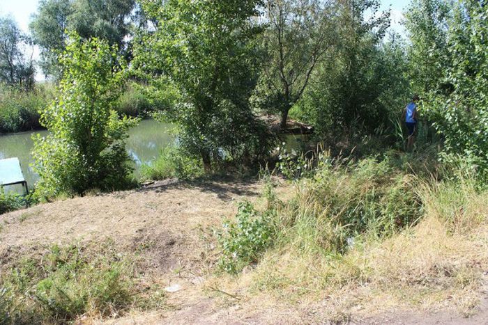 Российские дачники своими руками превратили поросший берег реки в пляж пляж своими руками, превратили берег реки в пляж